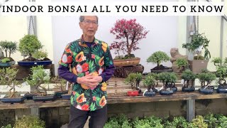 How to create a Bonsai from Raw Material [upl. by Noissap250]