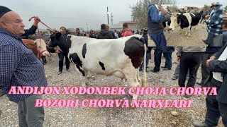 ANDIJON HOLDONBEK CHOJA CHORVA BOZORI CHORVA NARXLARI N2 [upl. by Notecnirp]