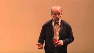 Transit of Venus A Story with Two Endings  Reza Mansouri  TEDxUniversityofTehran [upl. by Allerim]