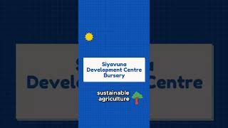 Ciavuna Development Center Bursary Sustainable Agriculture [upl. by Wehttam]