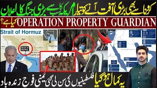 What is Operation Property Guardian   Detail by Syed Ali Haider [upl. by Notgnilra216]