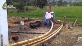 Bending Dry Bamboo Poles [upl. by Cornell]