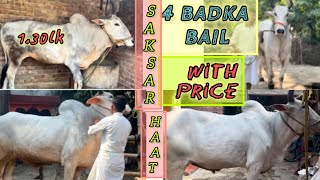 SAKSARHAT AREA 4 BIG OX WITH PRICE MAMALOGKYA CHURRI BANEGA 2024 MECOWSOFKOLKATACHAKALLAS [upl. by Blader]