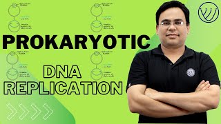 DNA REPLICATION IN PROKARYOTES  INITIATION ELONGATION TERMINATION  CSIR NET LIFE SCIENCE [upl. by Ykcor614]