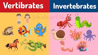 Vertibrates and Invertebrates  Classifying Vertebrates and Invertebrates  Educational videos [upl. by Craggy]