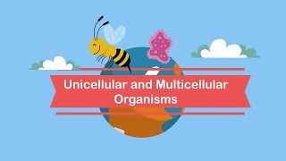 Unicellular and Multicellular Organisms [upl. by Gardol]