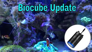 29 Gallon Biocube Reef Series Ep 6  New Kessil A160s and Fish [upl. by Bautram]