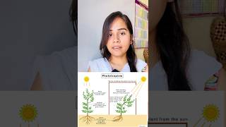 Phototropism  hydrotropism  geotropism  thigmotropism  chemotropism shorts growth youtube [upl. by Enelym]