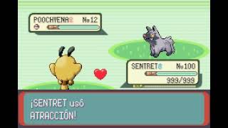 POKEMON EMERALD  SENTRET  ATRACCIÓN  ATTRACT [upl. by Oly]