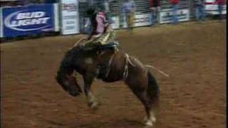 Saddle Bronc Riding  HRS Rodeo [upl. by Undine]