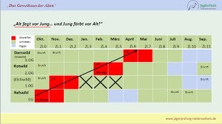 Jägerprüfung Niedersachsen Das Geweihaus der Alten [upl. by Emrich]