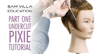 PART ONE  Undercut Pixie Haircut Tutorial  Tips for a Better Blend with the Top [upl. by Hum422]