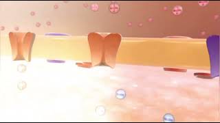 Action Potential  Functions of Neurons  Medical Animations [upl. by Ronyar242]