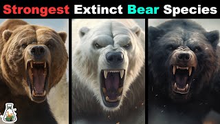 6 Most Powerful Extinct Bear Species [upl. by Ayotaj]