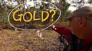 Gold prospecting in Muckleford Victoria on a raked and cleared patch with the Minelab GPZ7000 [upl. by Shear573]