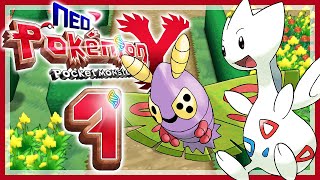 POKÉMON NEO Y  07 🗼 Dreierkämpfe und Reihumkämpfe auf dem ParterreWeg [upl. by Hodges]