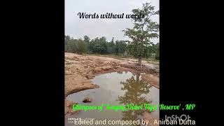 Words without wordsWildlife explorationEdited and composed by Anirban Dutta [upl. by Meirrak]