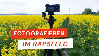 Fotografieren im Rapsfeld  4 Tipps für schöne Fotos  Fotografieren lernen  herfurthfoto raps [upl. by Lemuela]