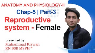 Reproductive system Female   Part3  Anatomy and Physiology2 BSN KMU  MCQS pattern [upl. by Christan]