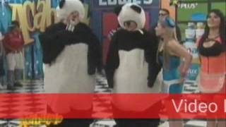 Los Pandas De Acabatelo [upl. by Carolynn83]