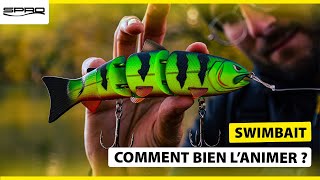 💥Comment bien animer un Swimbait  💥 [upl. by Faus]