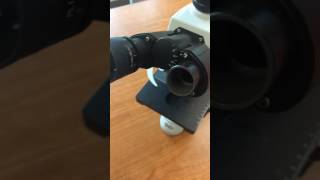 Inserting Microscope Camera into Eyetube [upl. by Trela]