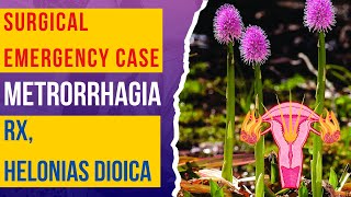 Surgical emergency case I Metrorrhagia I Helonias dioica I Dr Jigar Parikh Ahmedabad I Gujarat [upl. by Niwri]