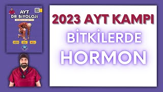 Bitkilerde Hormonlar AYT Biyoloji Kampı Konu Anlatımı 12Sınıf 2024 Tayfa [upl. by Adekram451]