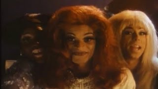 Stonewall 1995 Trailer  Nigel Finch [upl. by Neelahtak]