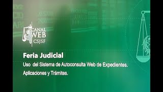 Utilización del Sistema Web de Autoconsulta de Expedientes durante las Ferias Judiciales [upl. by Ehctav]