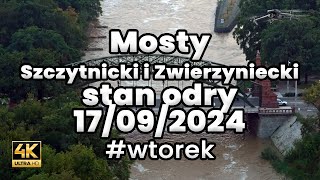 Sytuacja hydrologiczna Wrocław Odra mosty Szczytnicki i Zwierzyniecki 17092024 odra powódź [upl. by Kamin]