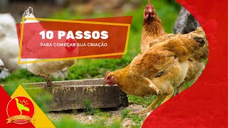 Como criar FRANGO CAIPIRA em 10 PASSOS [upl. by Nodnorb970]