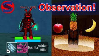 How To Get Observation Haki V2 Blox Fruits [upl. by Caye633]