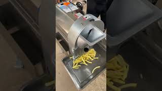 Bulb vegetable cutter can cut into strips slices and strips [upl. by Neenahs990]