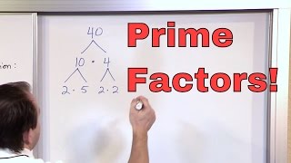 Prime Factorization  5th Grade Math  Finding Factors of a Number Factoring  Math Homework Help [upl. by Jordana129]