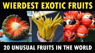 Unusual Exotic Fruits around the World  20 Weirdest Fruits in the World [upl. by Nimaj]