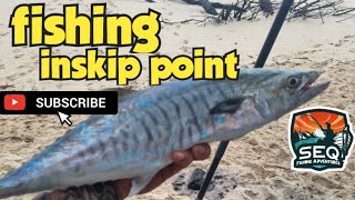 inskip point fishing [upl. by Nayk]