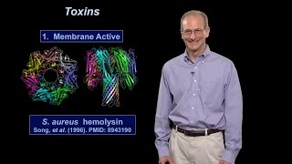 Ralph Isberg Tufts U  HHMI Part 1 What Distinguishes a Pathogen from a NonPathogen [upl. by Ahseila38]