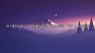 O Zone  Dragostea Din Tei 1 HOUR [upl. by Lednic]