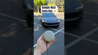 Can I Unlock My Tesla With a Google Nest Mini 😳👀 [upl. by Ahsema886]