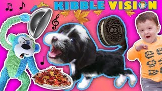 OUR PUPPY DOG TALKING ABOUT FOOD  FUNnel Vis OREO Songs Compilation Vlog  Climbing Wall T [upl. by Gore]