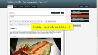 GetSimpleCMS part6 essential pluginsmp4 [upl. by Schluter]