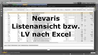 Nevaris nach Excel [upl. by Akeem]