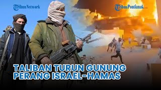 Pertempuran Meluas❗Taliban Respons Perang IsraelHamas di Gaza [upl. by Scrivens]