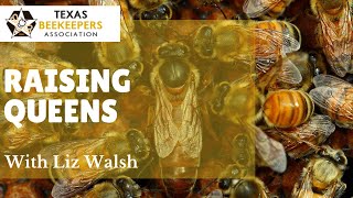 Raising Queens for Yourself by Liz Walsh of the TAMU Honey Bee Lab [upl. by Aloibaf]