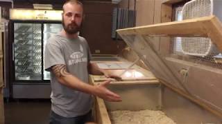 quail brooder system at myshire farm [upl. by Sairtemed]