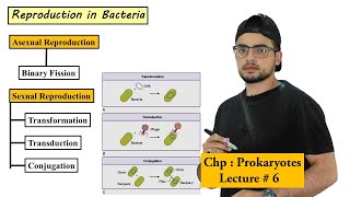 Reproduction in bacteria  Asexual and Sexual reproduction  Prokaryotes [upl. by Aikaz]