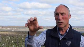 Domaine Michel Gros Vosne Romanée 1er cru Les Brûlées [upl. by Page]