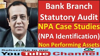 NPA Case Studies  Bank Branch Audit  Non Performing Assets Case Studies  NPA Identification [upl. by Yror170]