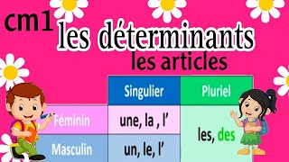 les déterminantsles articles apprendre le français [upl. by Jotham]